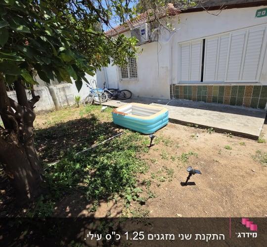 חצר עם בריכה מתנפחת ועץ לימון